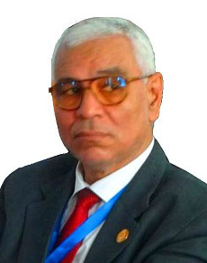 Abdelmonem Awad M. Hegazy