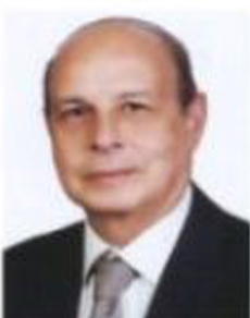 Ali Mohamed Elshafei