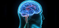 CEOS Neurological Disorders and Stroke